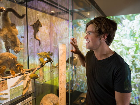 Queensland Museum - Food Delivery Shop 0