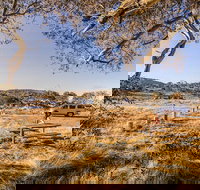 Rennix walking track - Food Delivery Shop