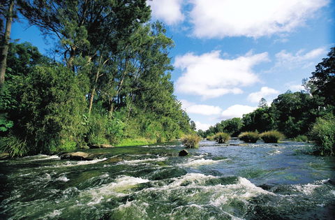 Richmond Valley Hinterland Self Drive Tour - Food Delivery Shop 0
