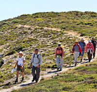 The Sole Walk at Hillocks Drive