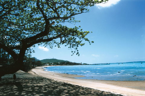 Thursday Island - Food Delivery Shop 1