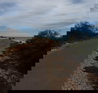 Turquoise Way Trail Jurien Bay - Pet Food Australia