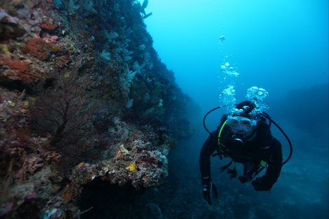 Twelve Apostles Marine National Park - Food Delivery Shop 0