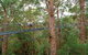 Valley Of The Giants Tree Top Walk - thumb 1