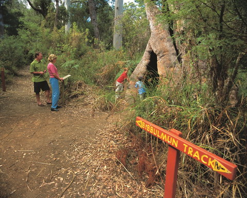Walpole-Nornalup National Park - Food Delivery Shop 1