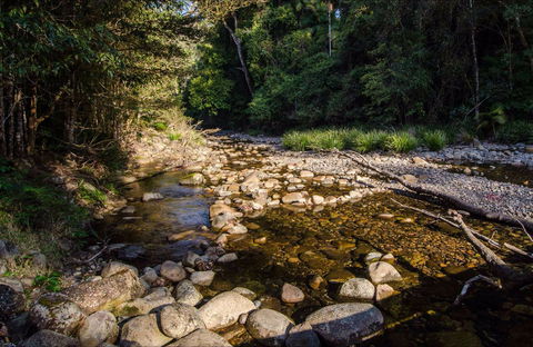 Wilson River Picnic Area - Food Delivery Shop 0