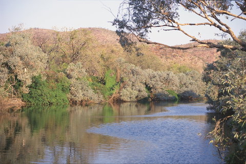 Alligator / Crocodile Hole - Food Delivery Shop 0