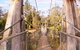 Avon River Walk Trail And Janet Millet Lane - thumb 1
