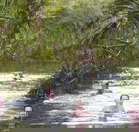 Berry Springs - Pet Food Australia