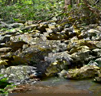 Booyong Walking Track - Food Delivery Shop