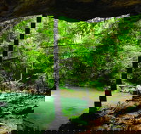 Buderim - Food Delivery Shop