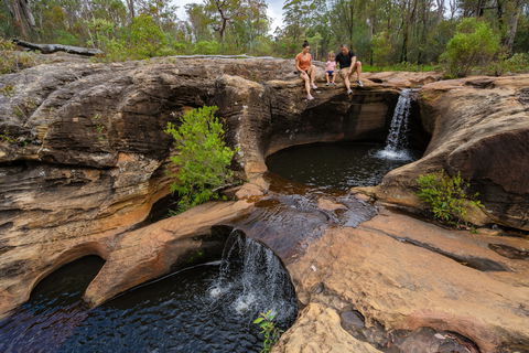 Capricorn Way - Food Delivery Shop 2
