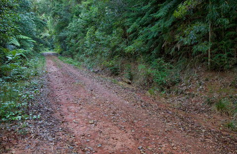 Cascade Mountain Bike Trail - Food Delivery Shop 0