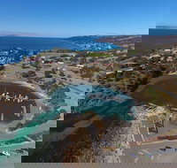 Christmas Cove - Food Delivery Shop