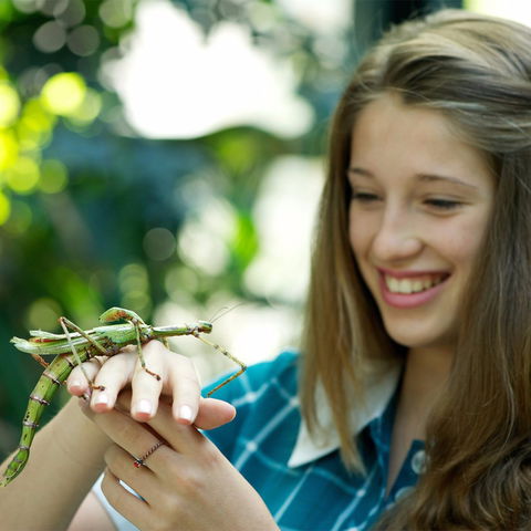 CSIRO Discovery Centre - Food Delivery Shop 1