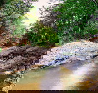 Currumbin Rock Pools - Pet Food Australia