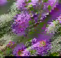 Ethel Daw Scenic Drive - Food Delivery Shop