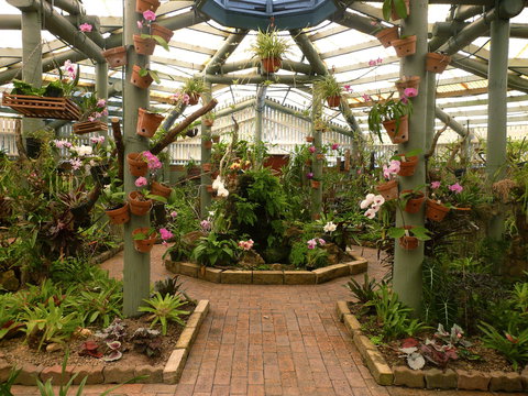 Family Fun In Mackay City - Food Delivery Shop 1