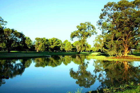 Finley Golf Club - Food Delivery Shop 0