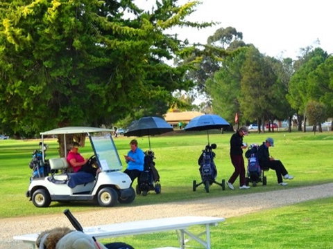 Finley Golf Club - Food Delivery Shop 1