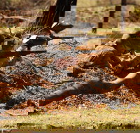 Freycinet Paintball and Campground - Food Delivery Shop