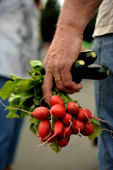 Harvest Launceston Community Farmers' Market - Food Delivery Shop 1
