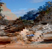 Homestead Gorge trail - Pet Food Australia