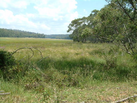 Hume And Hovell Walking Track - Food Delivery Shop 2