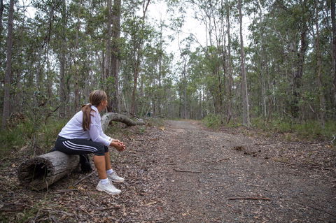 Ironbark Ridge And Spotted Gum Walking Trails - Food Delivery Shop 1