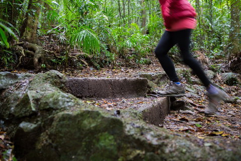 Maiala - Food Delivery Shop 0