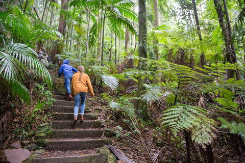 Maiala - Food Delivery Shop 1