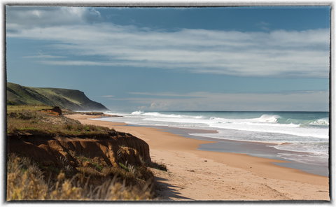 Morgan Beach - Food Delivery Shop 0