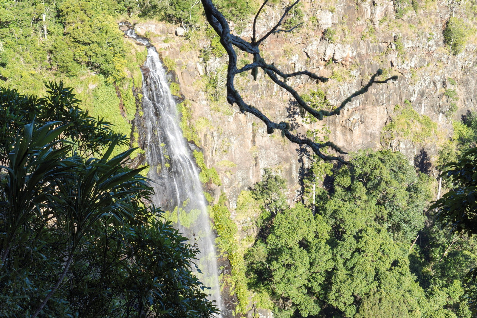 Gold Coast Hinterland QLD Food Delivery Shop
