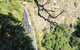 Morans Falls Track, Lamington National Park - thumb 0