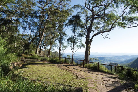Morans Falls Track, Lamington National Park - Food Delivery Shop 1