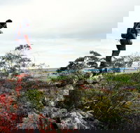 Mount Matilda - Pet Food Australia