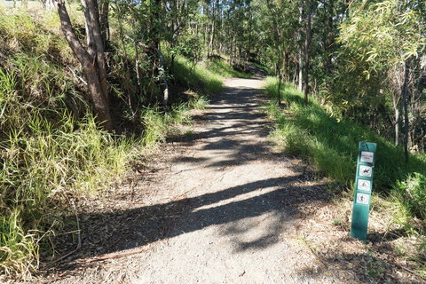 Mt Coot-tha Tourist Drive - Food Delivery Shop 2