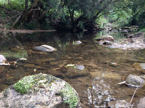 Otford Farm Horse Riding - Food Delivery Shop 2