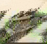 Pebbly Beach to Snake Bay walking track - Food Delivery Shop