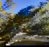 Pipers River Board Walk - Pet Food Australia