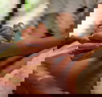 Prani Glow Day Spa - Pet Food Australia