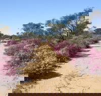 Reynoldson's Flora Reserve - Pet Food Australia