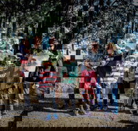 State Forests of the Watagan Mountains - Food Delivery Shop