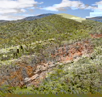 Sundown National Park - Pet Food Australia