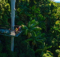 Tamborine Rainforest Skywalk - Food Delivery Shop