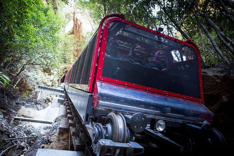 Blue Mountains Hop-on Hop-off Tour With Optional Scenic World Rides - Food Delivery Shop 8
