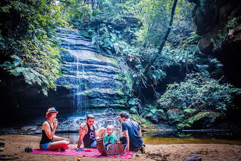 Blue Mountains Hop-on Hop-off Tour With Optional Scenic World Rides - Food Delivery Shop 4