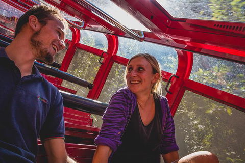 Blue Mountains Hop-on Hop-off Tour With Optional Scenic World Rides - Food Delivery Shop 6