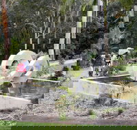 Maroochy Regional Bushland Botanic Garden - Food Delivery Shop