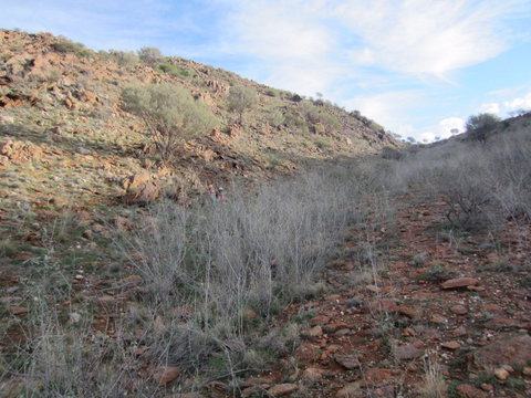 Sundown Nature Trail - Food Delivery Shop 2